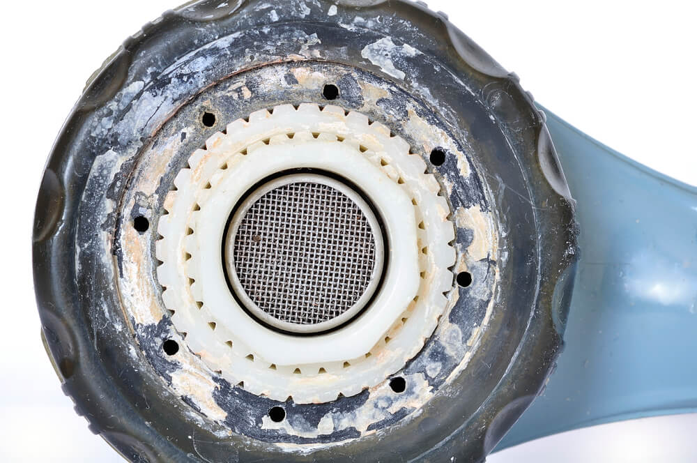 Shower head clogged with hard water deposits
