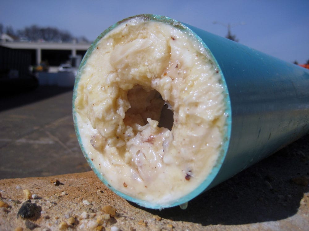 Pipe Clogged with Grease