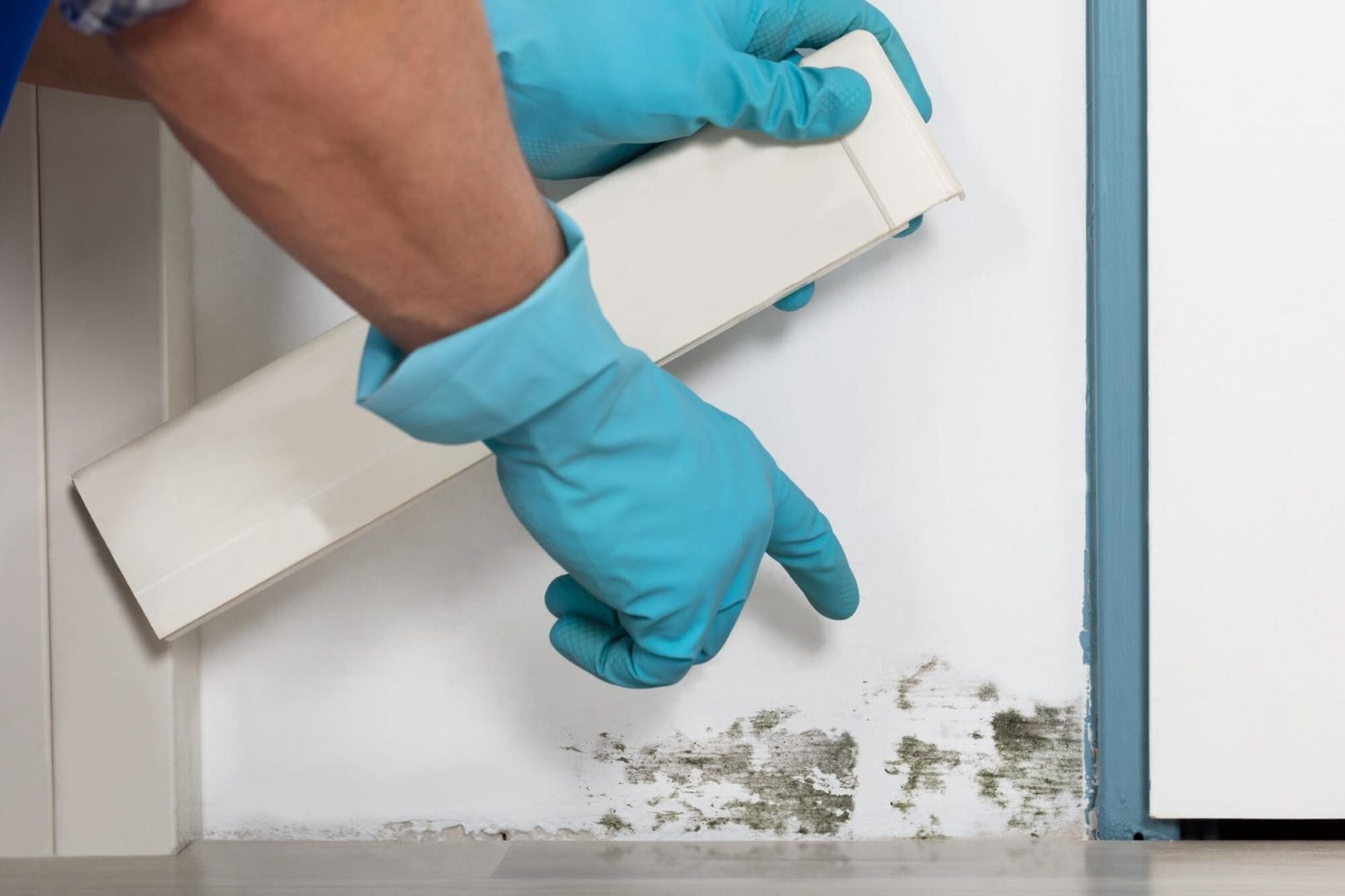 Bathroom mold on wall