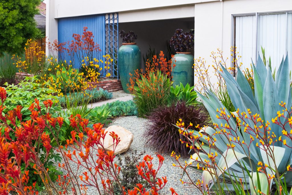 Drought Tolerant Landscaping can save on yo you water bills